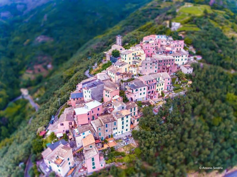 레반토 Cinqueterre - Terrace And Beautiful View 아파트 외부 사진
